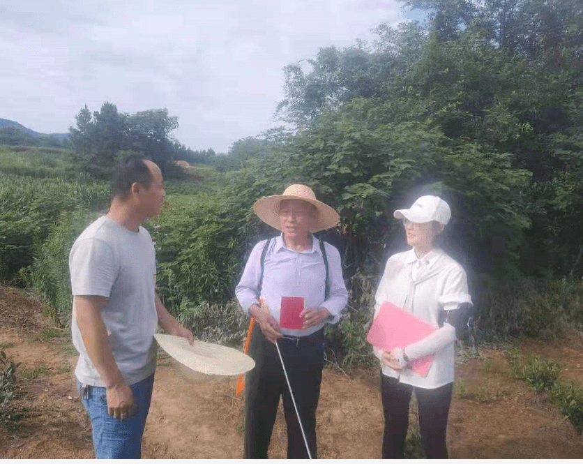 夏至已至日渐明,驻村工作热情高——无为市开城镇都督村驻村工作队_乡村