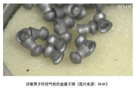 日本男子涉嫌用气枪杀死多只猫被捕 ,网友愤怒:严惩