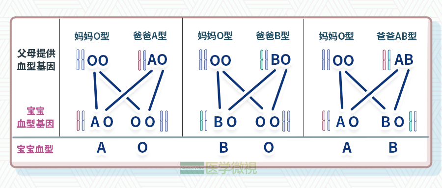 八字不合 性格不合 还可以血型不合 健康 中华资讯在线