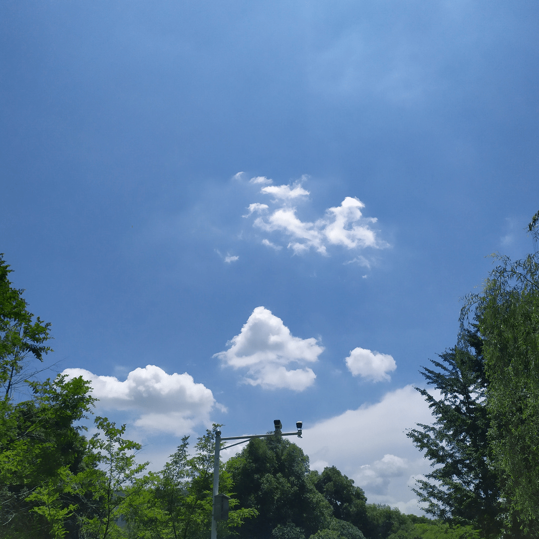 昨天的夏至,要抬头看天空