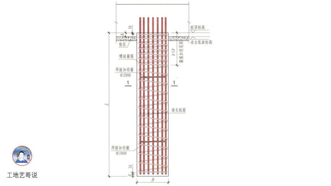 獨立階形承臺ctj81,獨立坡形承臺ctp82,承臺梁ctl83,基礎連繫梁jll84