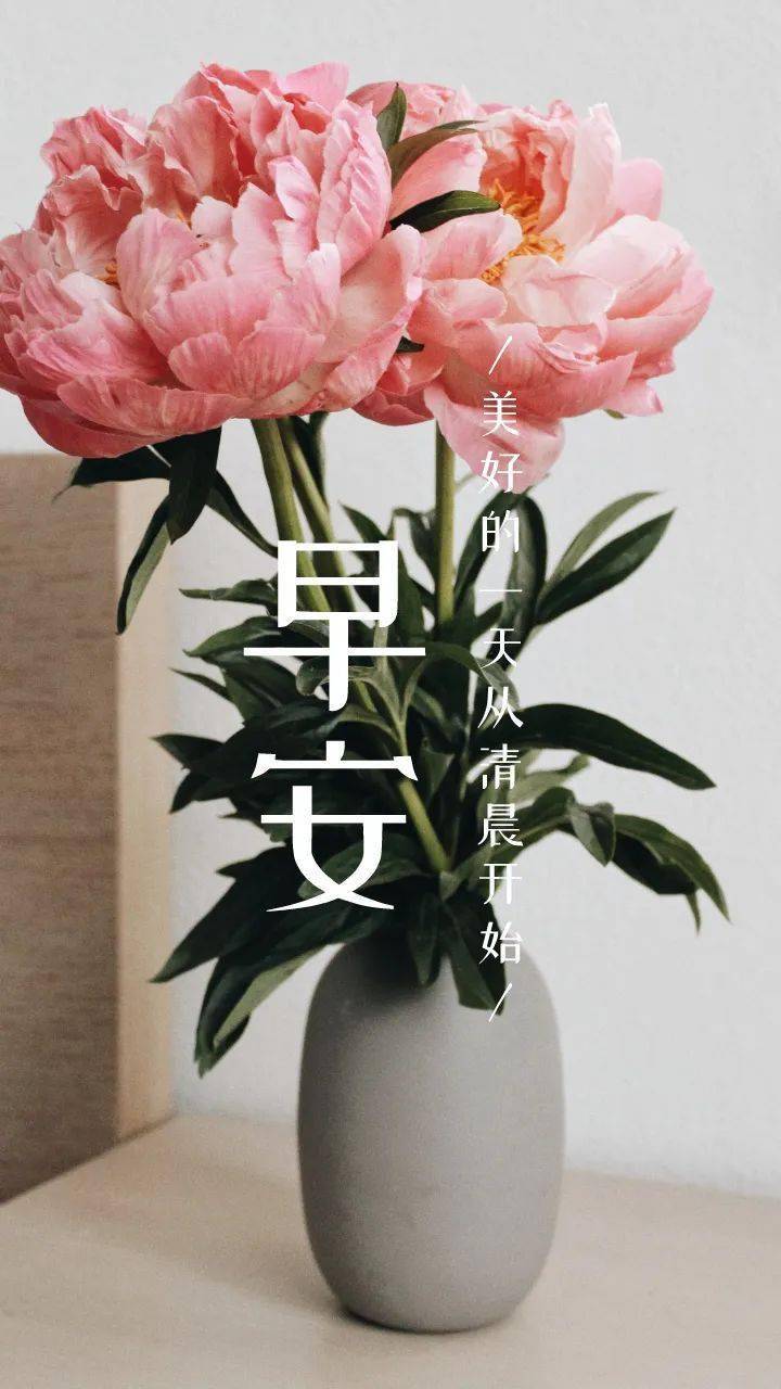 6月24日 | 早安 · 心语