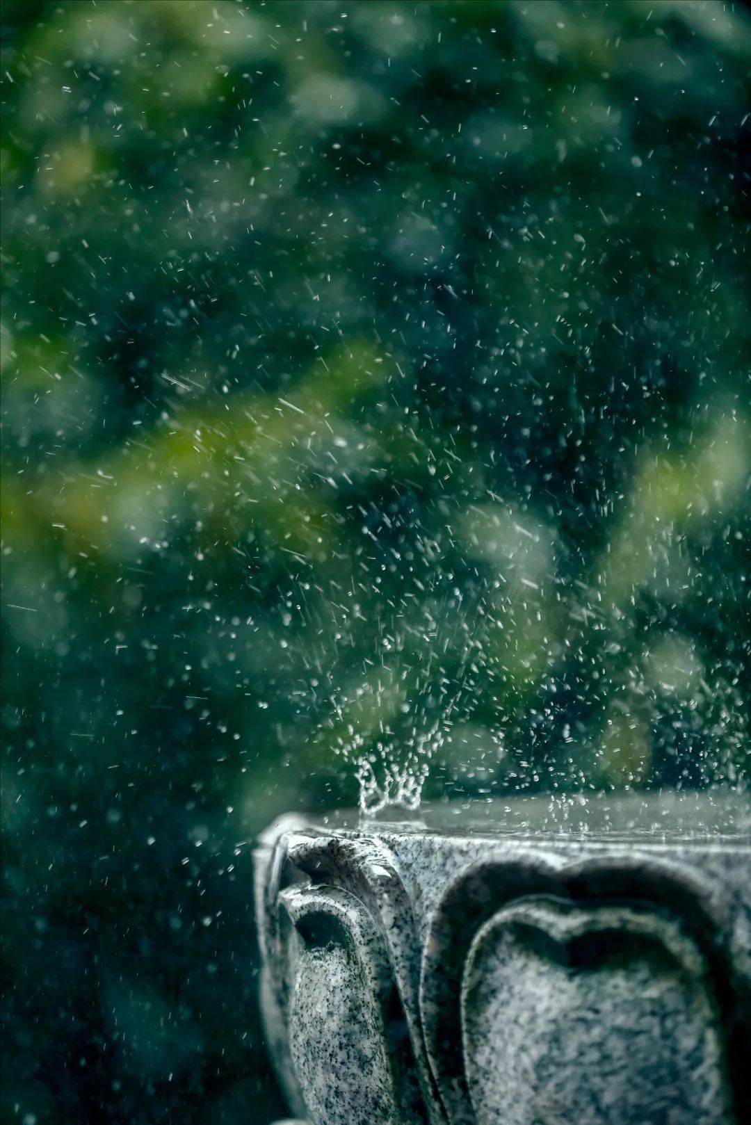 被烟雨江南美哭雨中的法华寺每一帧都值得