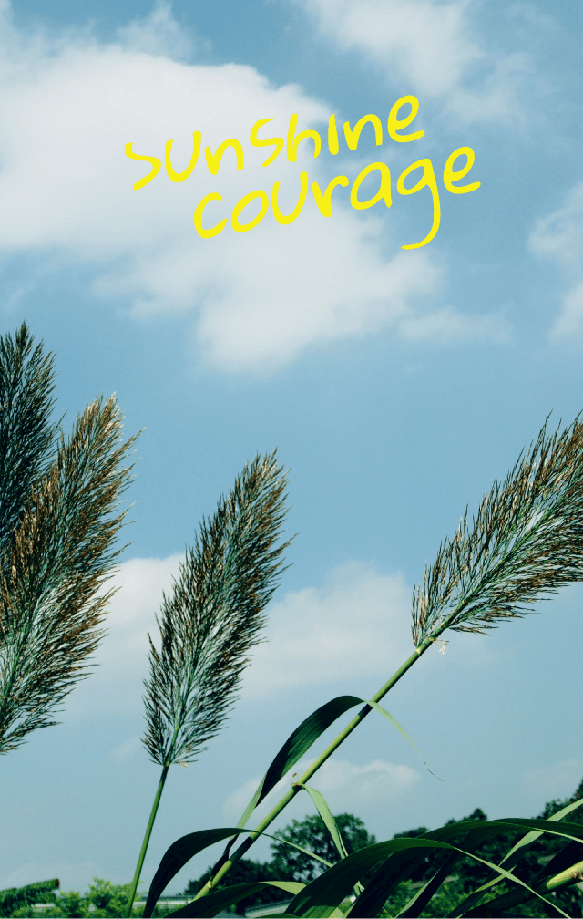 活捉10个夏日限定有你期待的样子吗