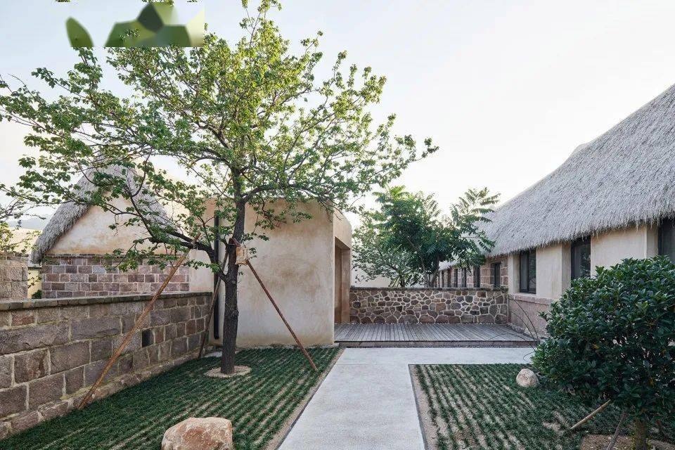 民宿20家:质朴中的高级