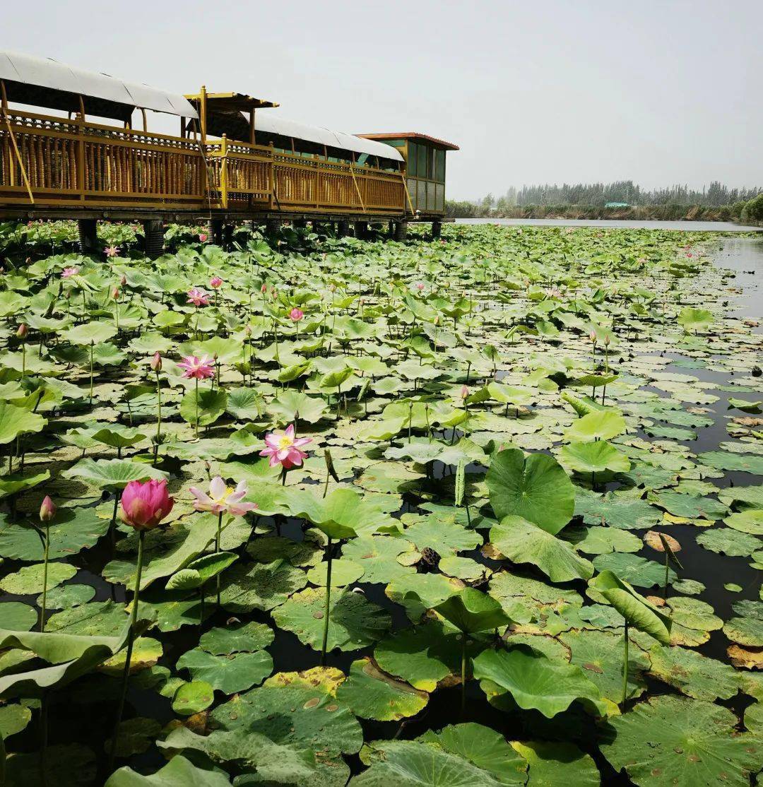 墨玉县庆祝建党100周年美丽和田我的家摄影作品展