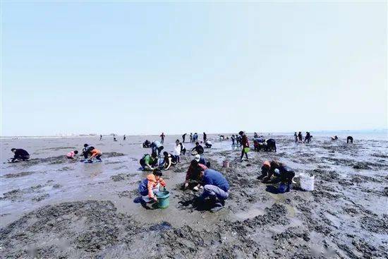 挖蛤拾贝,用海鲜解锁夏日幸福!今天去赶海