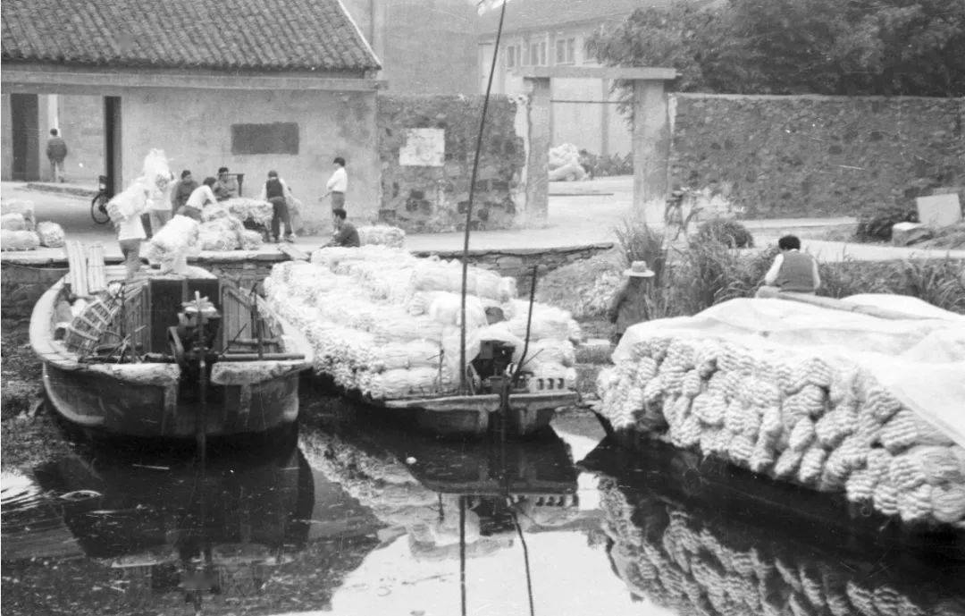 罕见萧山一大波老照片曝光满满的都是回忆