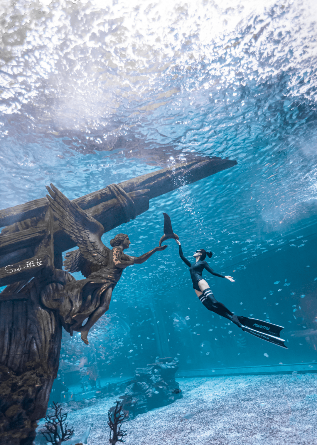 "洛神水赋"—你也能拍!_潜水