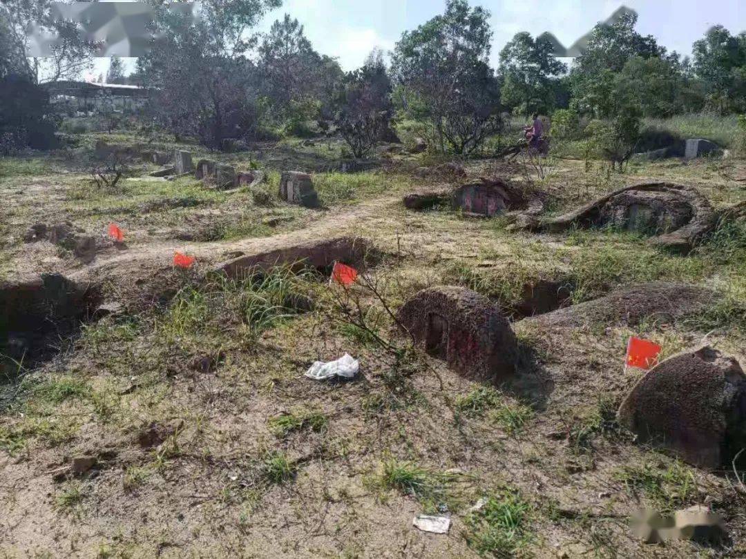 最新!陆丰这个村,发布迁坟公告.