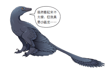 33f9743bf39e4f5ca57d3b67e1b9d53b.png