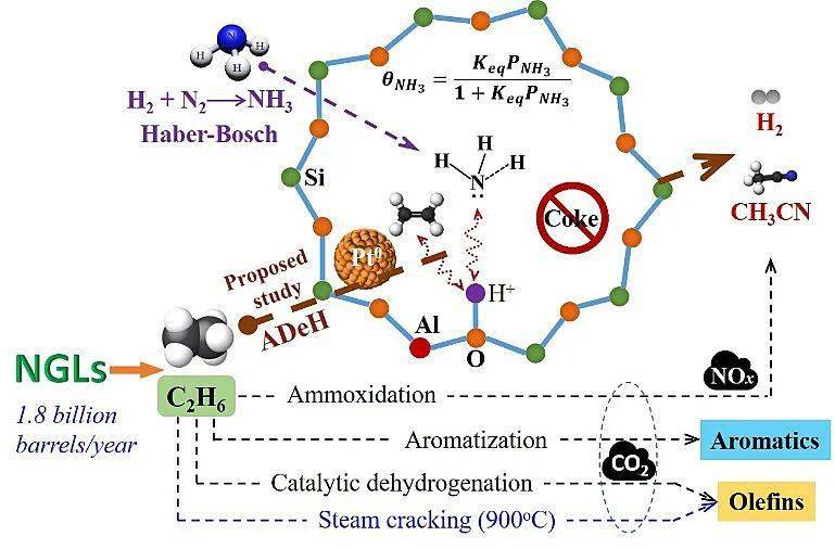 c-n键生成,提出了一种低碳烷烃转化的新思路(称作ammodehydrogenation