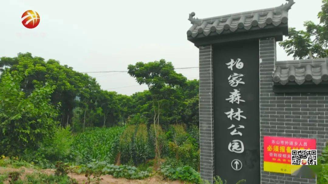 研经镇四方村是井研到研经的第一站,这里近来以"森林公园"和新村产业