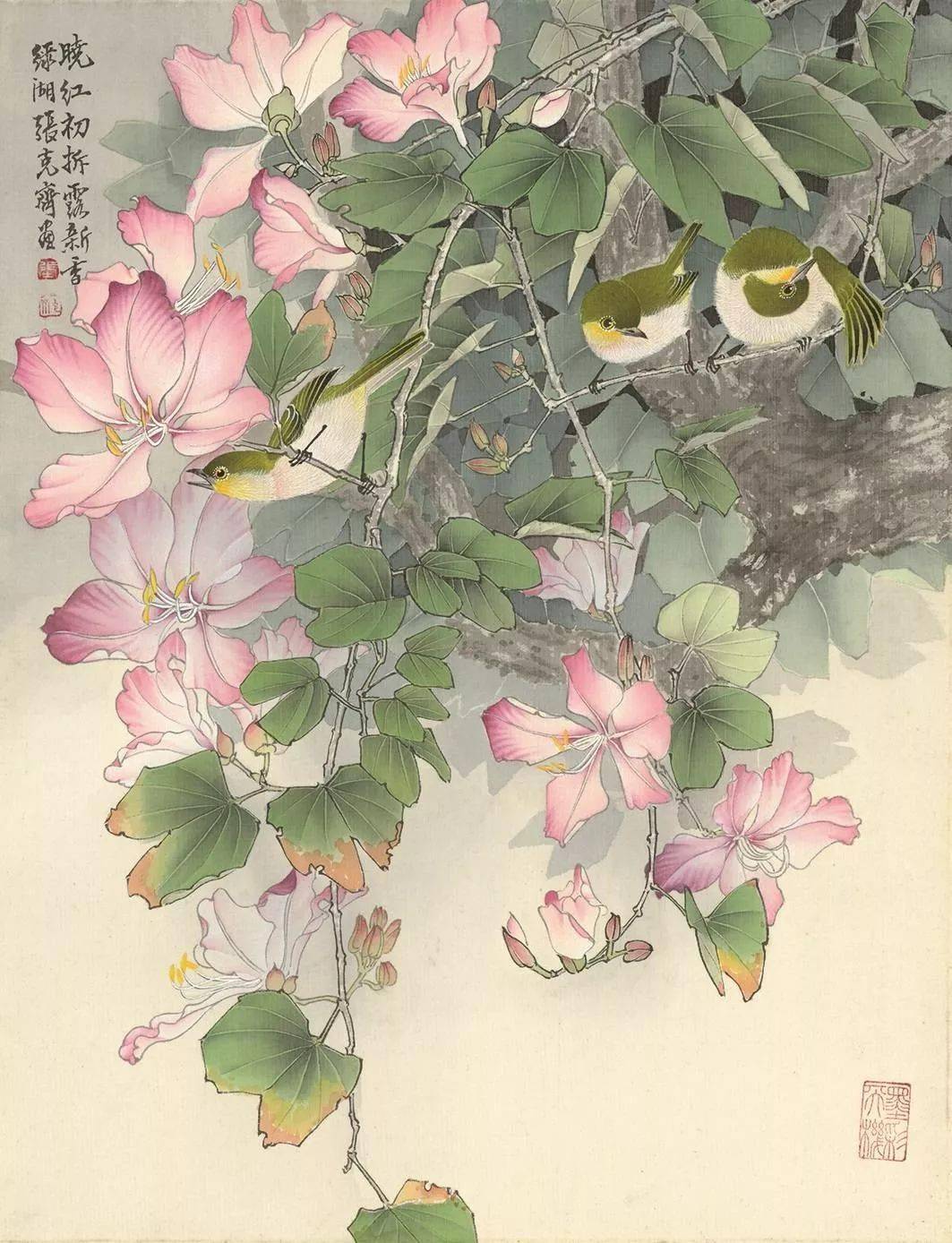 台湾大师张克齐笔下的花鸟妙趣横生笔笔生动