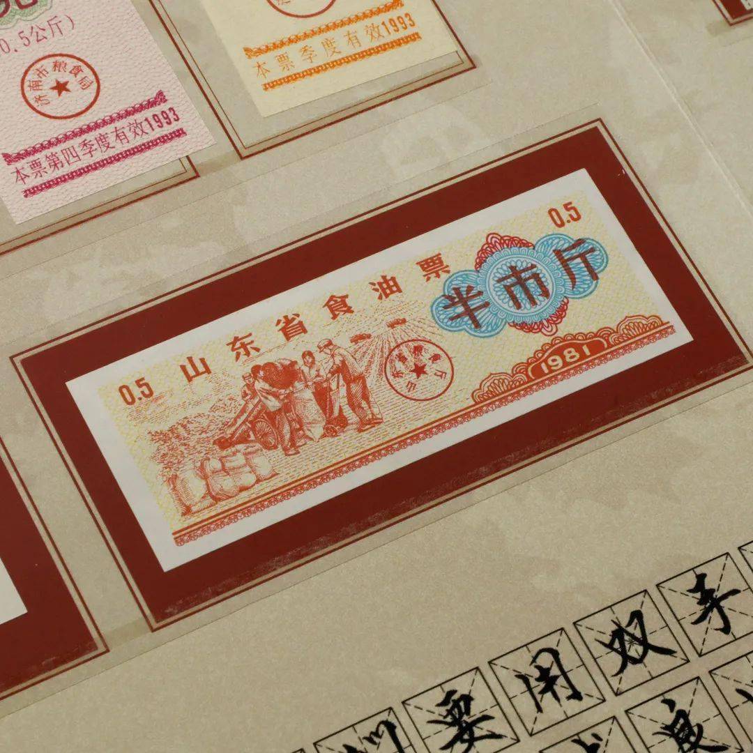 票证收藏册281张粮票布票原价988元今特价698元抢