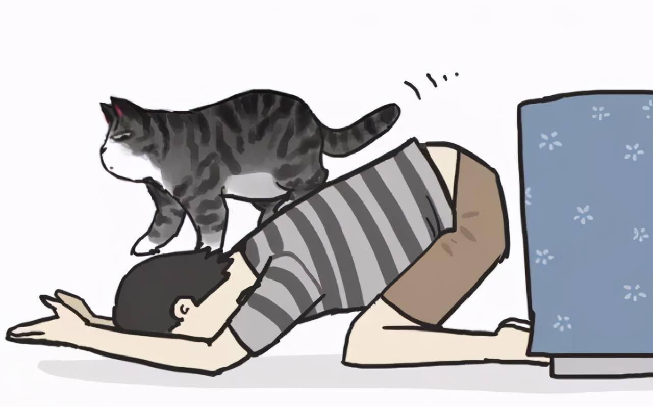 请猫下床的正确姿势——神经病篇（漫画）_皇会