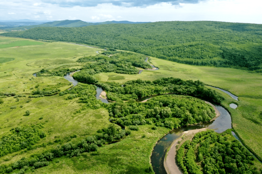 黑龙江源头寻初心_林区