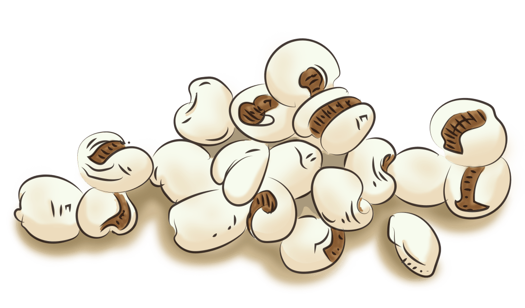 食药物质,知多少?