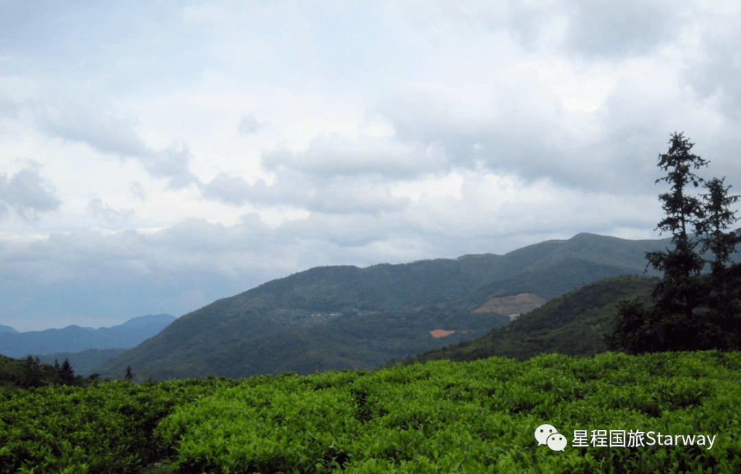 5号￥99潮州小九寨幽谷逸林溪美戏水纯玩休闲一天游