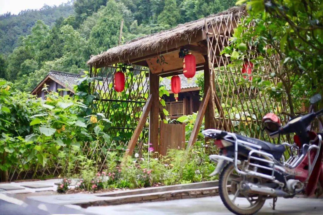在乡下改造一个小院种菜养花天天都是乡村田园梦生活如此惬意