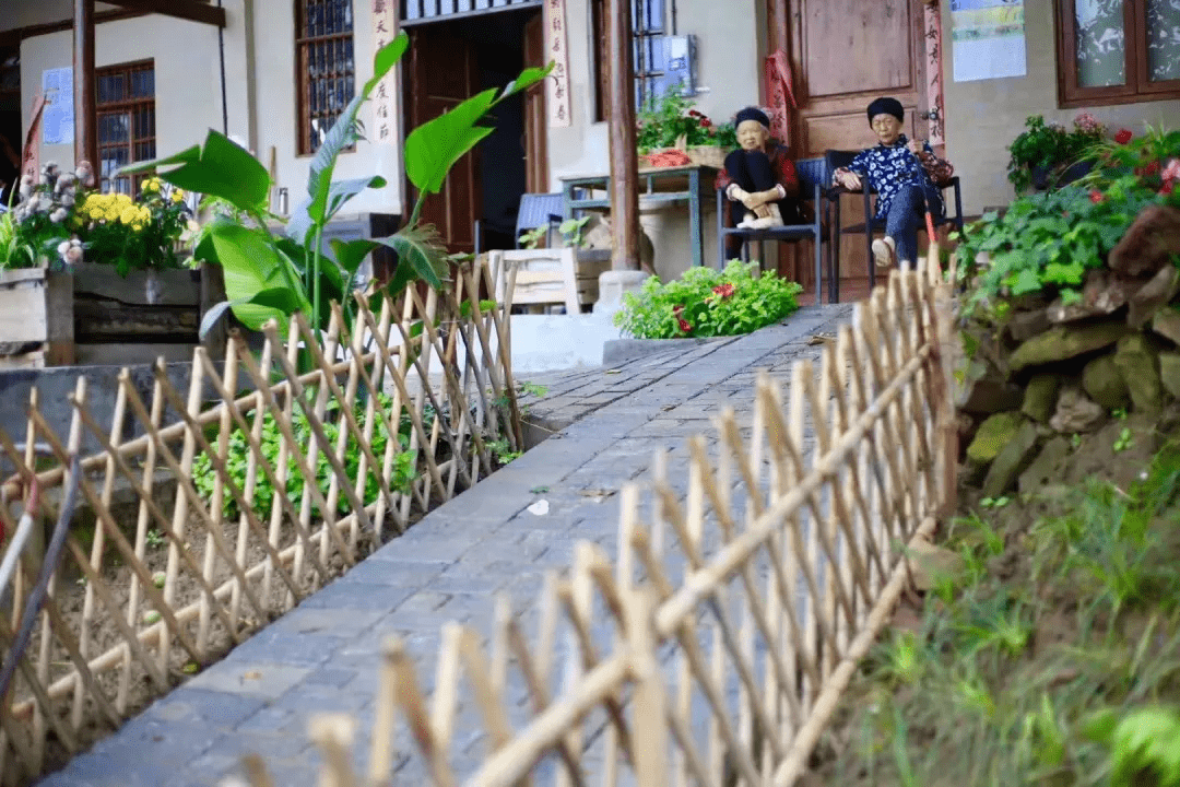 在鄉下改造一個小院種菜養花天天都是鄉村田園夢生活如此愜意