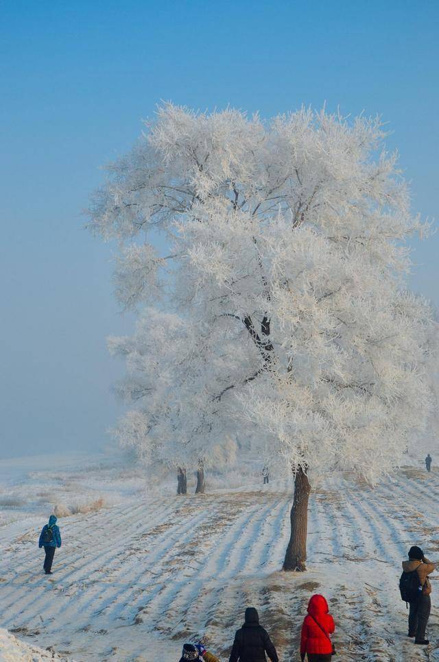 雾凇岛冬日必看美景就在吉林的一个岛