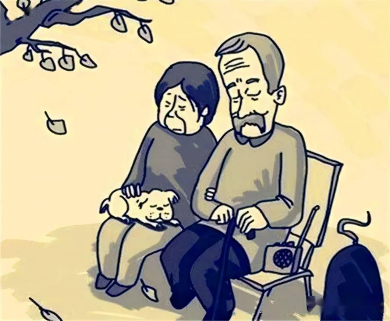 俩老人想搭伙过日子双方的子女却逼得他们一死一远走他乡