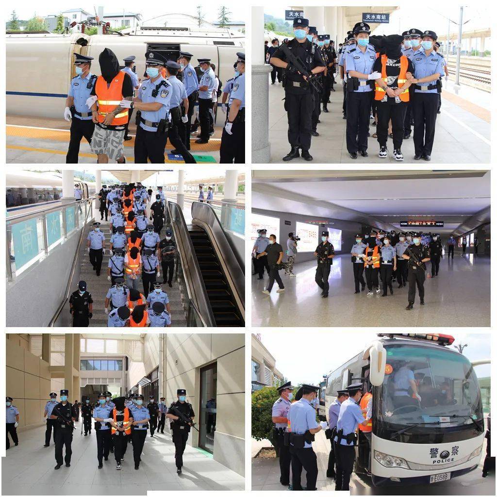 法网恢恢,疏而不漏