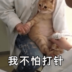 724357b6d1f6429988bea9ddf62872bd.png
