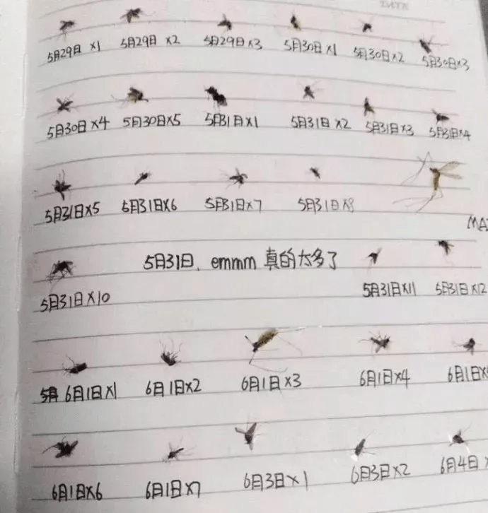 英语书写体有几种 8bea25c91f7f4146a3674e947df24871.png