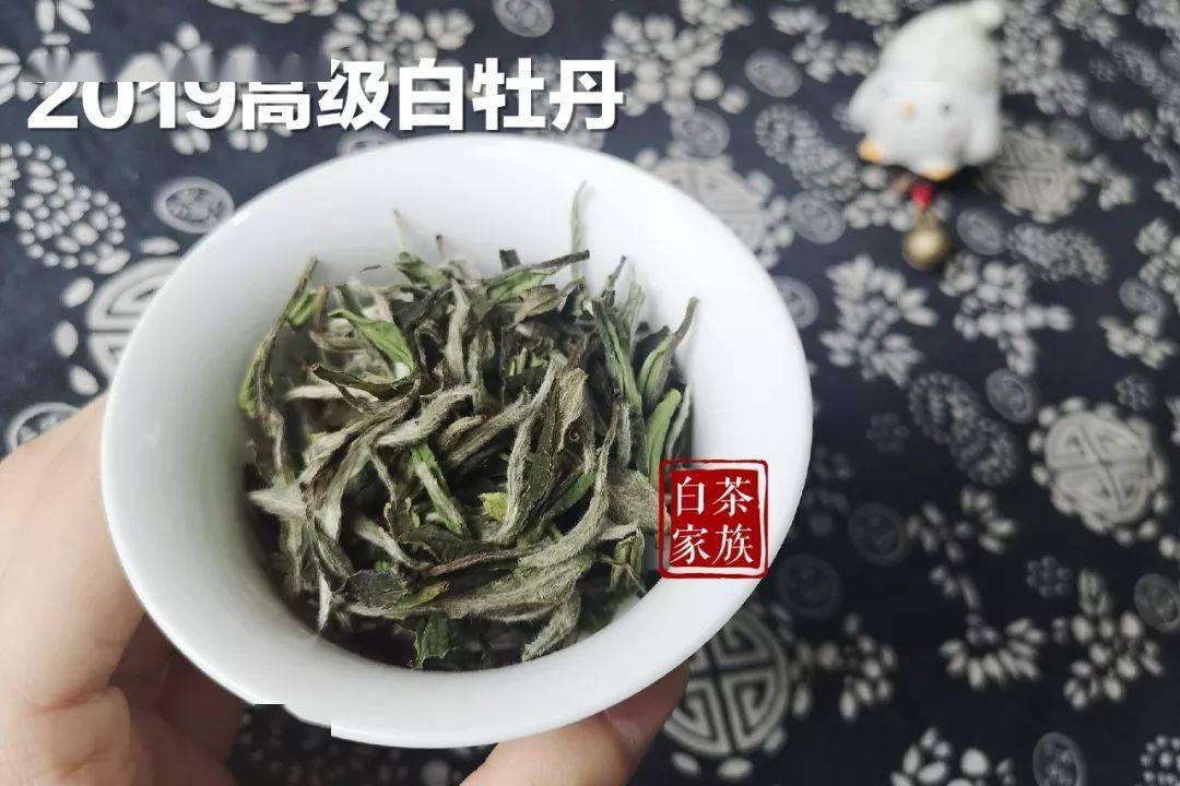 喝陈皮白茶有什么好处