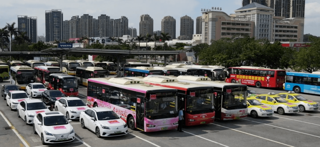 江门公交车,出租车,网约车亮了!