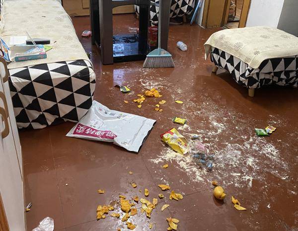 进贼了家中一片狼藉动手的竟是屋主比我还凶