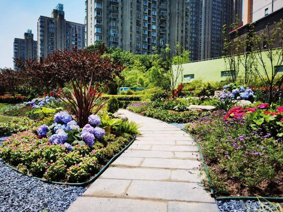 【探索】7处主题景点,8条市级景观花道,5万㎡花坛花境扮靓浦东!