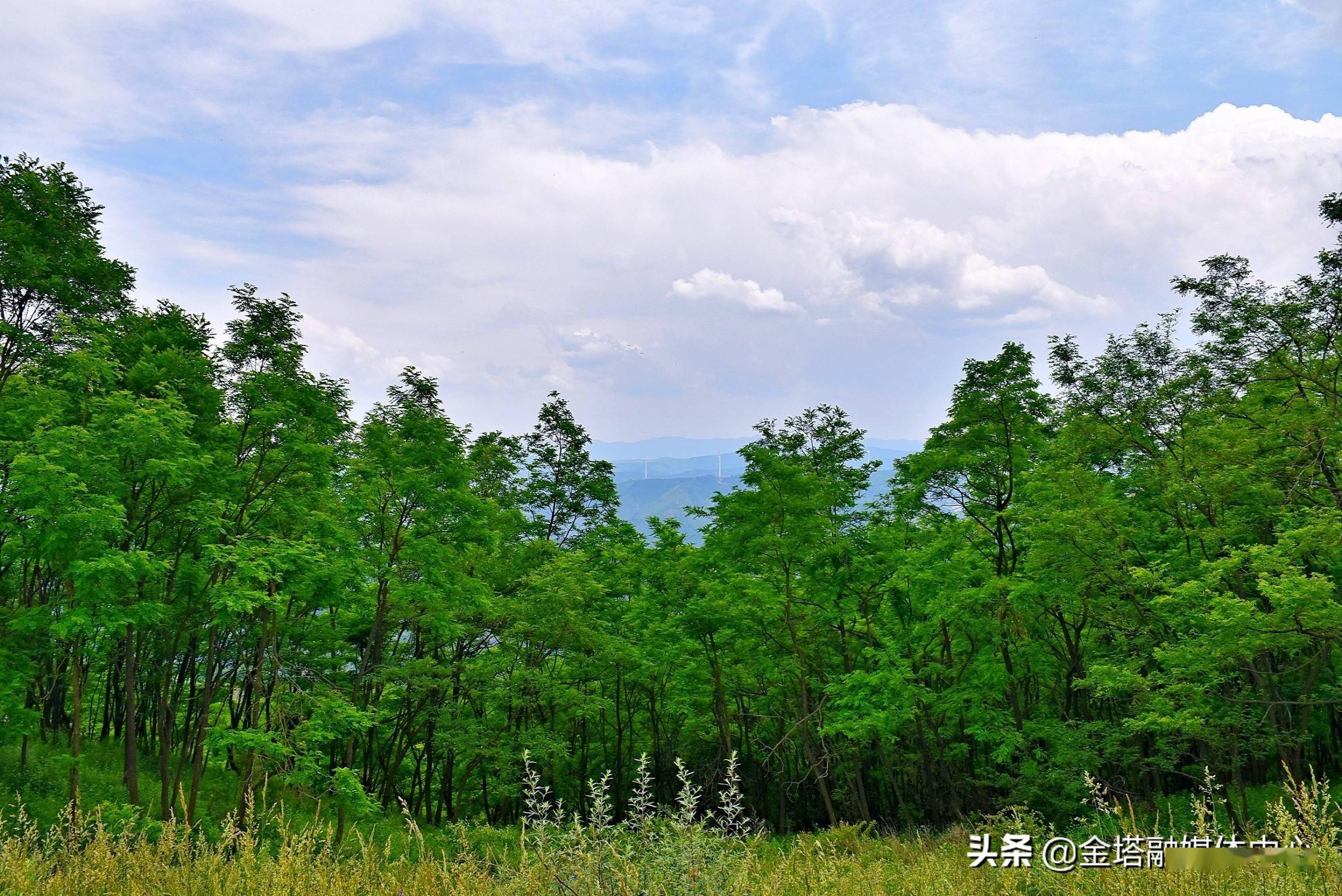 我的家乡青山美如画图片