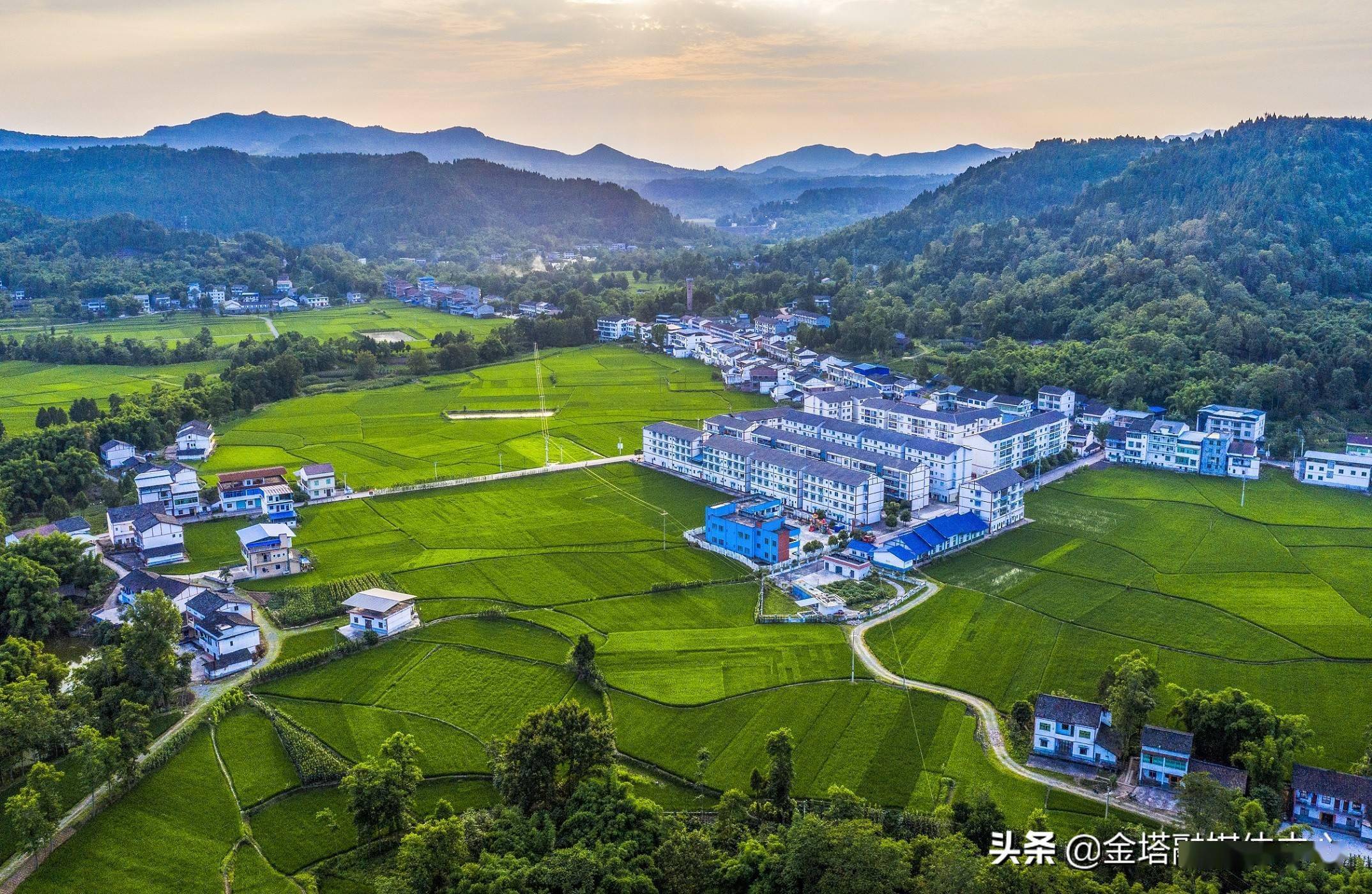 四川广安:绿色田园 美丽乡村_蒲莲