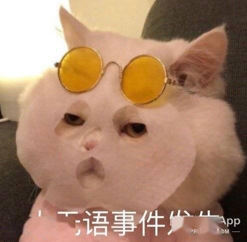 拒绝乌龙!盘点明星们那些“不为人知”的原名