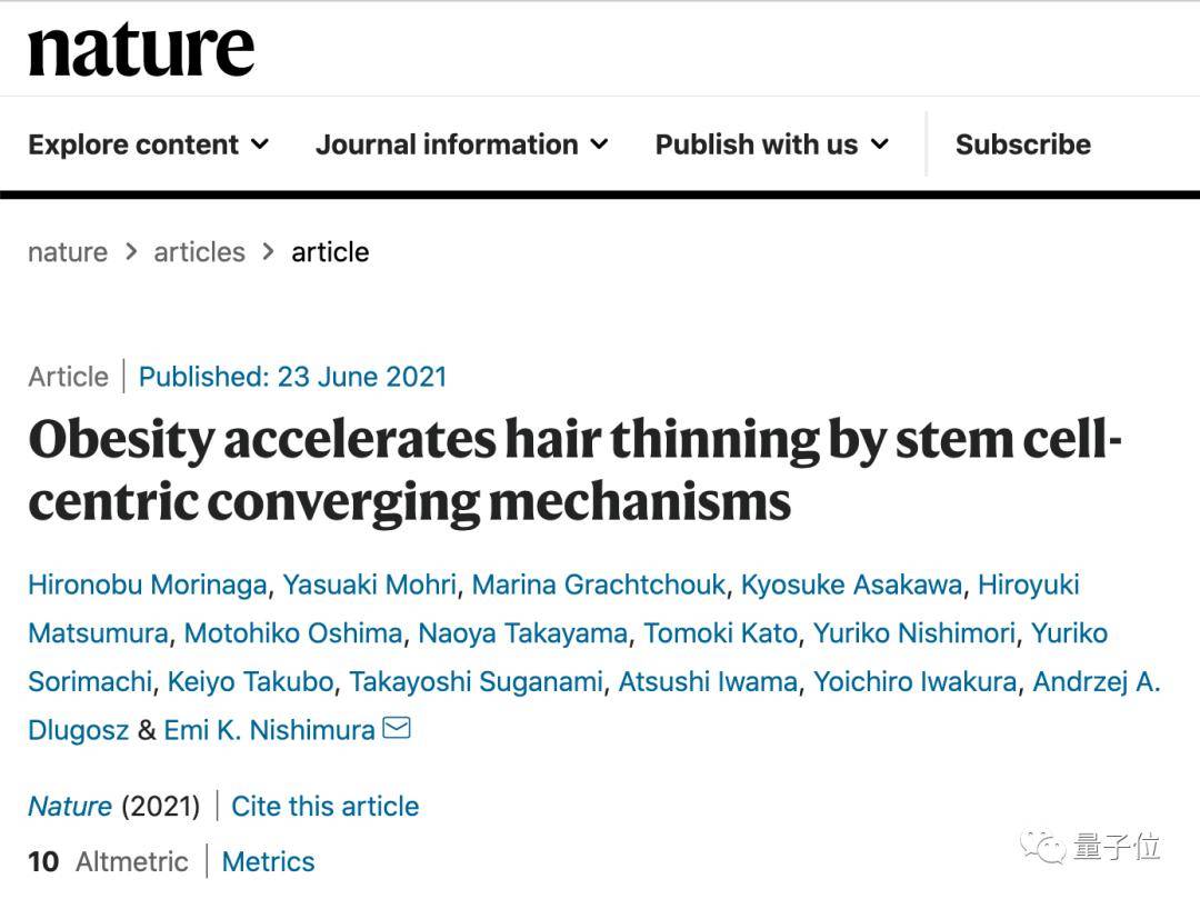 干细胞|太胖就会变秃，这回真的有依据了，日本学者发现肥胖会诱导毛囊衰竭