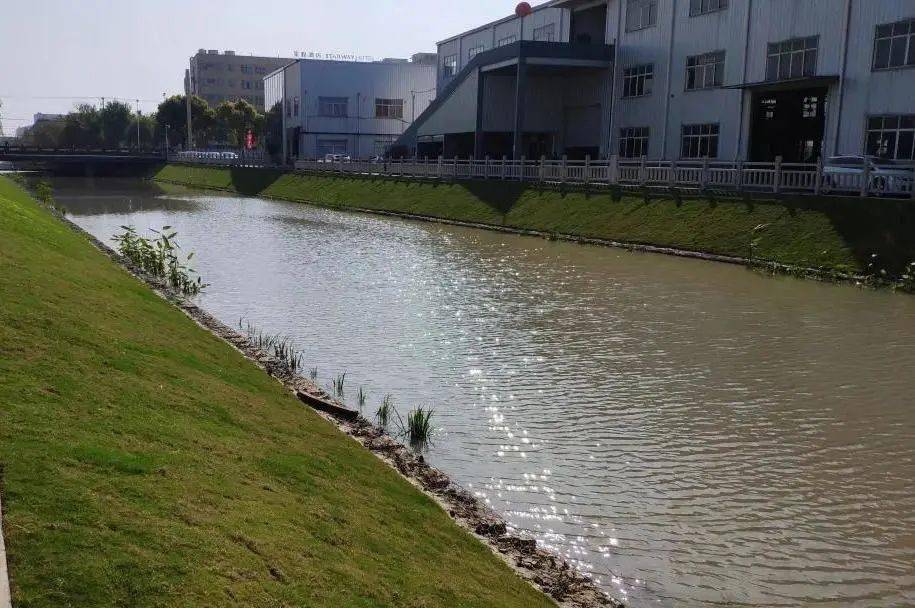 闵行这三条河道入选市最美河道看看你邂逅了身边哪条河