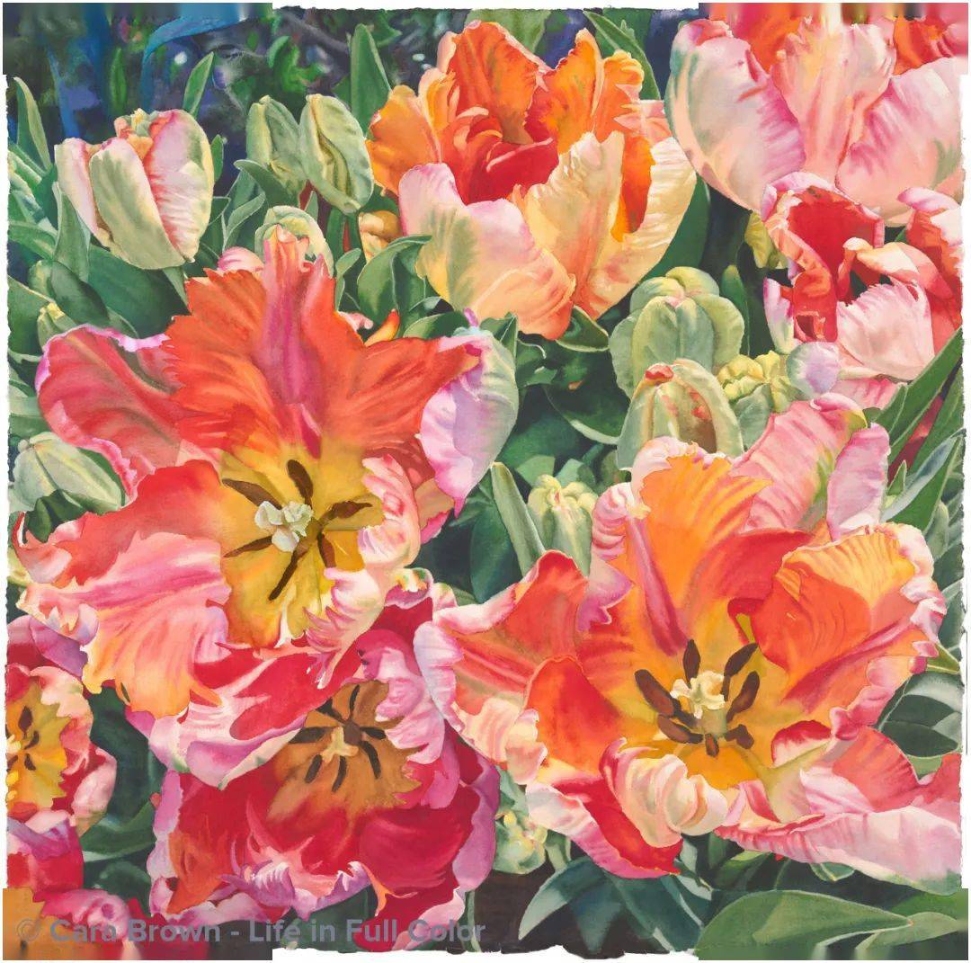 自学成才的超写实女画家笔下绚丽的水彩花朵光影简直太迷人