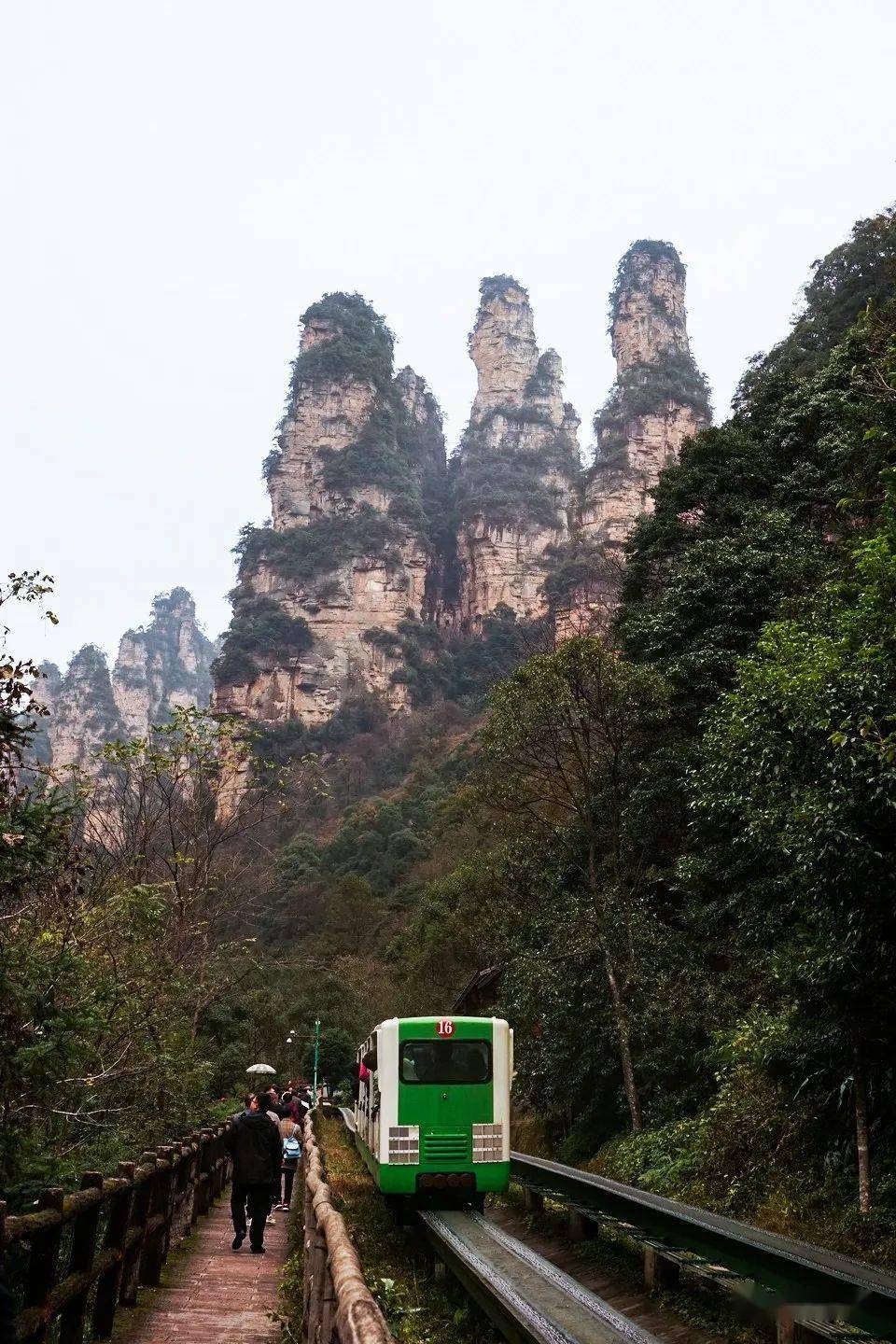 張家界十里畫廊天然雕塑