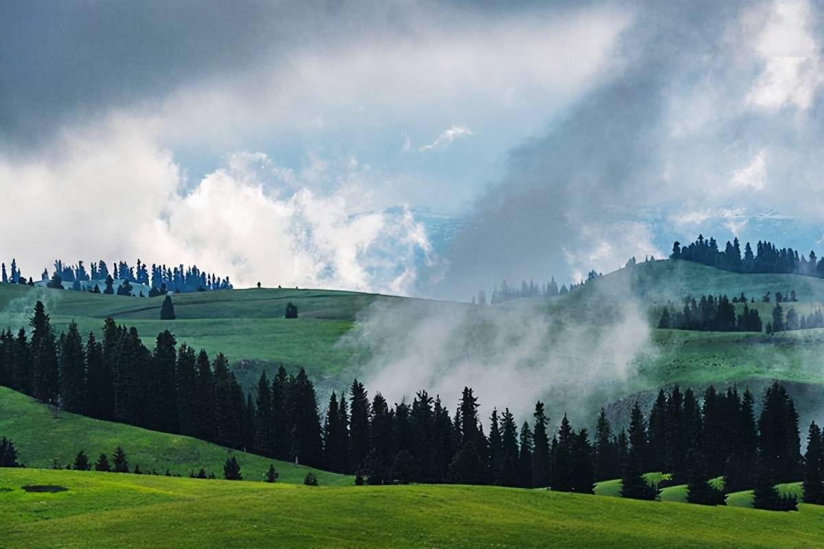 新疆尼勒克县阿克塔斯牧场