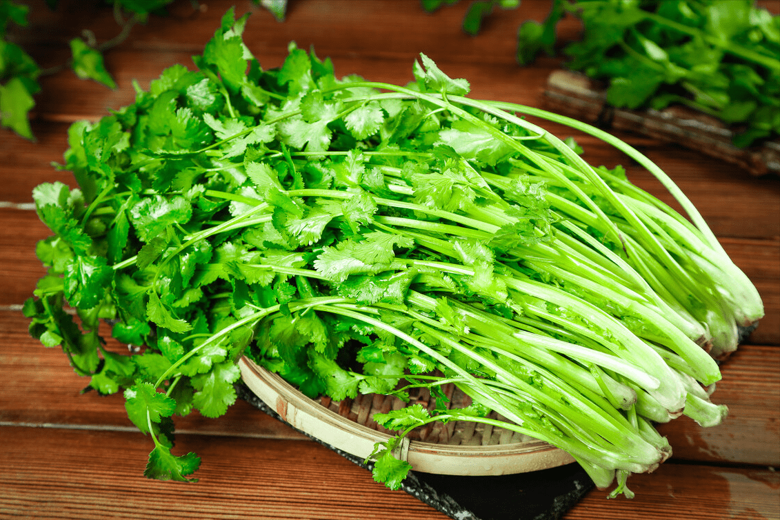 香菜吃不完老农教你这样保存放一年都不坏颜色翠绿味道新鲜