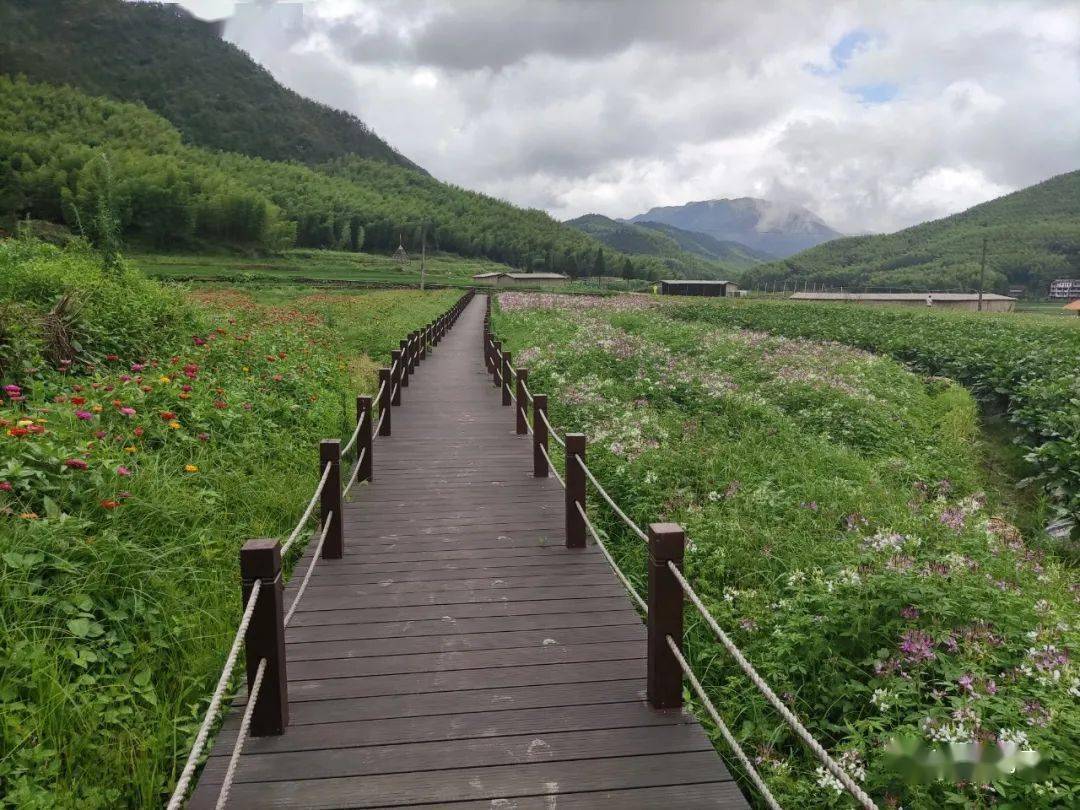 花开泽雅大美北林垟