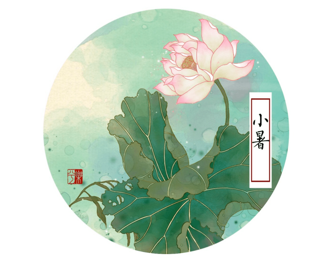 "节"伴而行|小暑:蝉鸣声声小暑至,清风习习盛夏悦