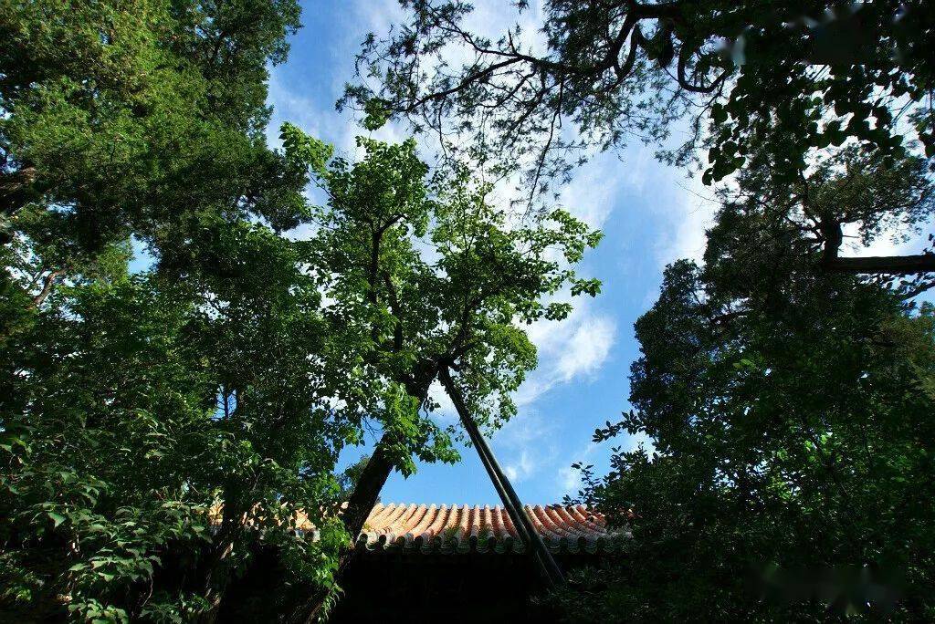 三农曝背诚可矜重基础润有明验 须臾西岭油云兴阳侯列缺各施技 密织空