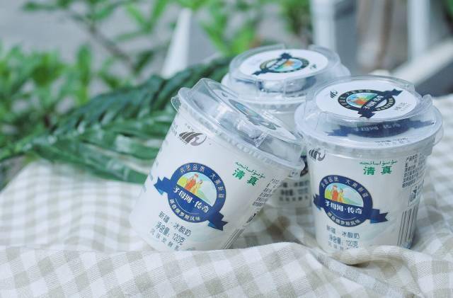 酸奶中的哈根达斯子母河新疆冰酸奶来啦好吃到停不下来