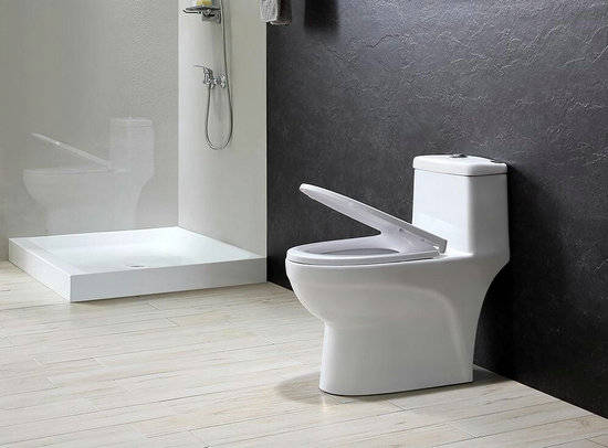 是一种|排宿便等于排毒？其实宿便仅是一种生理现象