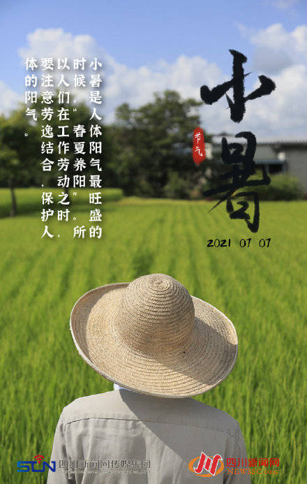 海报|海报丨倏忽温风至 因循小暑来