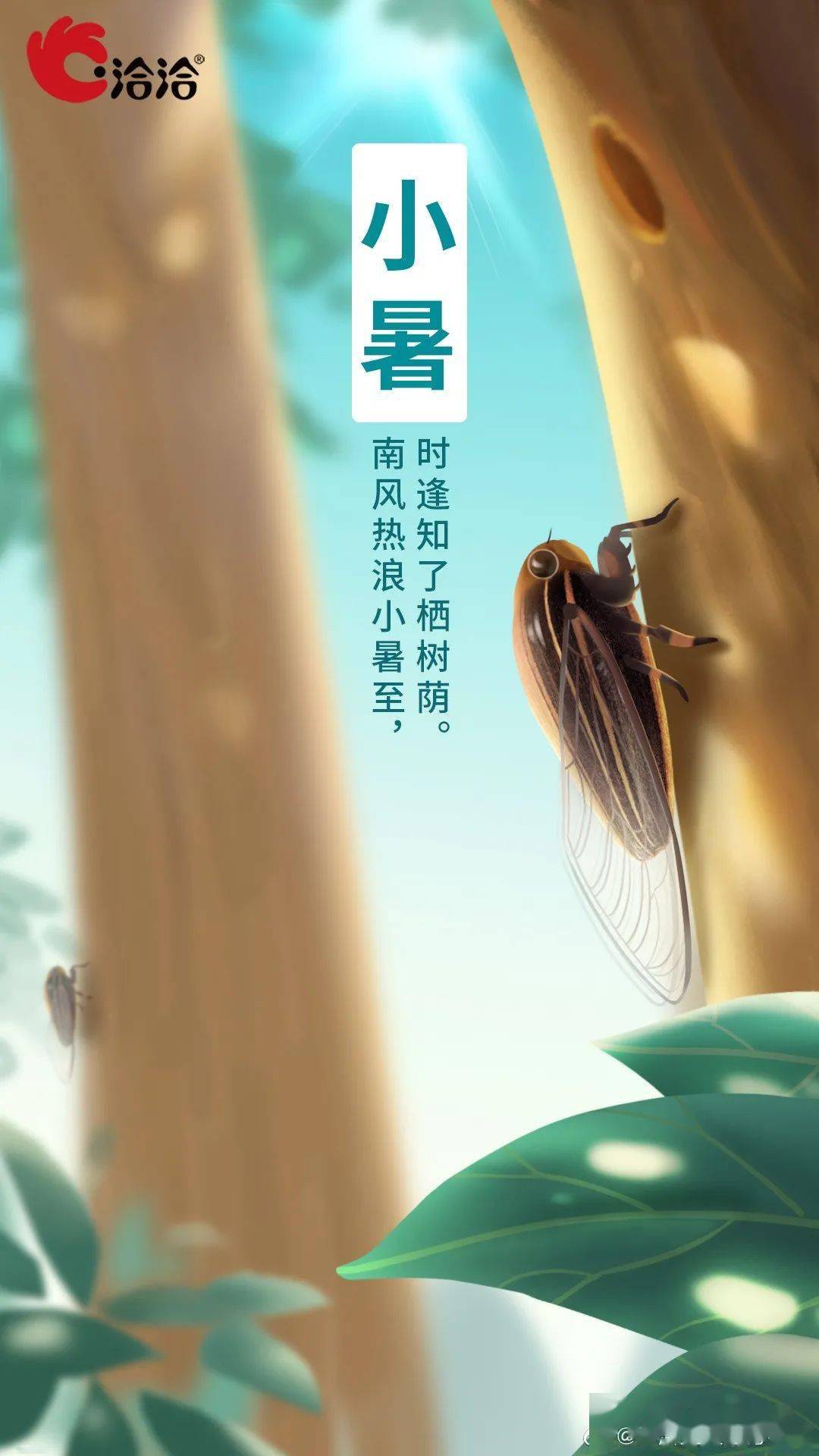 今日小暑,最全品牌海报文案!